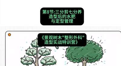 第08节：三分剪七分养&mdash;&mdash;造型后的水肥与定型管理，课程：《景观树木&ldquo;整形外科&rdquo;造型实战特训营》#识农AI
