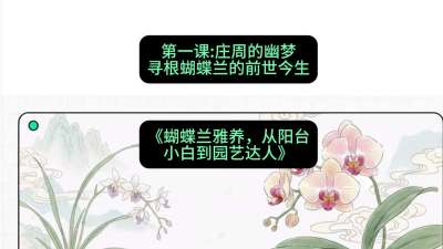 第一节：庄周的幽梦：寻根蝴蝶兰的前世今生，课程：《蝴蝶兰雅养六讲：从阳台小白到园艺达人》#识农AI