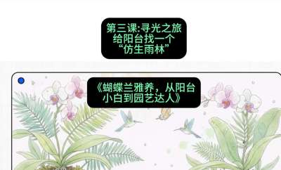 第三节：寻光之旅：给阳台找一个&ldquo;仿生雨林&rdquo;，课程：《蝴蝶兰雅养六讲：从阳台小白到园艺达人》#识农AI
