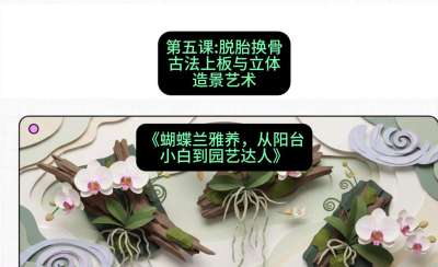 第五节：脱胎换骨：古法上板与立体造景艺术，课程：《蝴蝶兰雅养六讲：从阳台小白到园艺达人》#识农AI