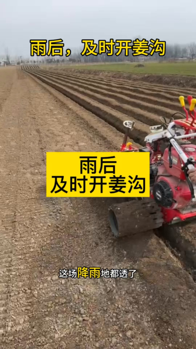 雨后，及时开姜沟！