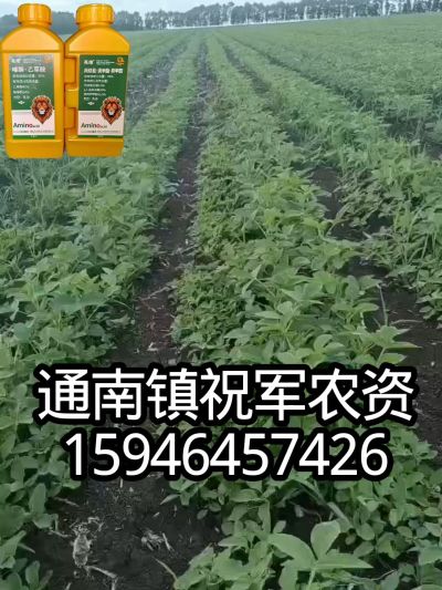 大豆苗前封闭，可封红根苋菜，灰菜，兰花菜，野豆子，捞豆秧等恶性杂草，封杀兼备的高端产品。