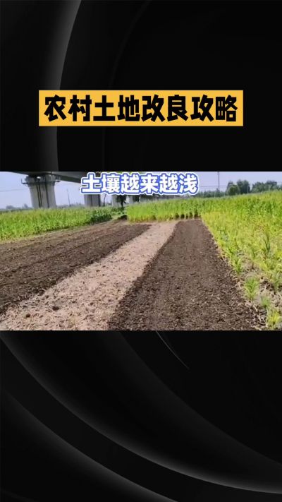 1. 先搞懂：你到底要改良哪块地、种什么
 
- 土土土在哪里？
就是你自家农田、菜地、果园，哪块地想种庄稼，就测哪块地的土。
​
- 有水没有水？
有水能浇：改良更省事，施肥、调酸碱都好操作。
没水