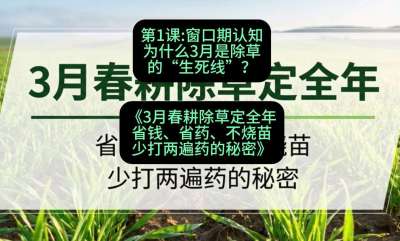 第1节：窗口期认知，为什么3月是除草的&ldquo;生死线&rdquo;？，课程：《3月春耕除草定全年：省钱、省药、不烧苗、少打两遍药的秘密》